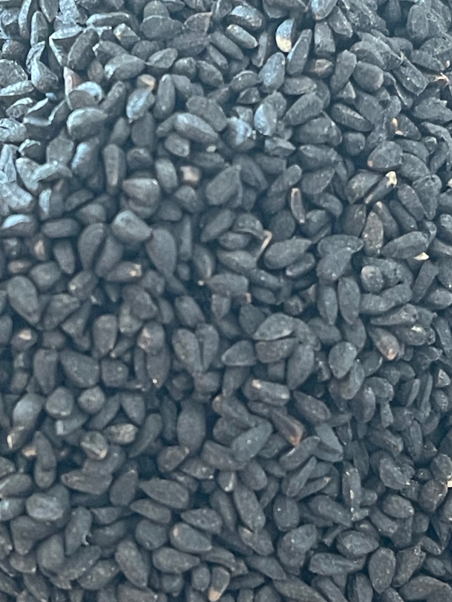 Organic Black Seed